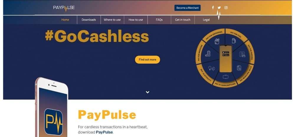 Paypulse